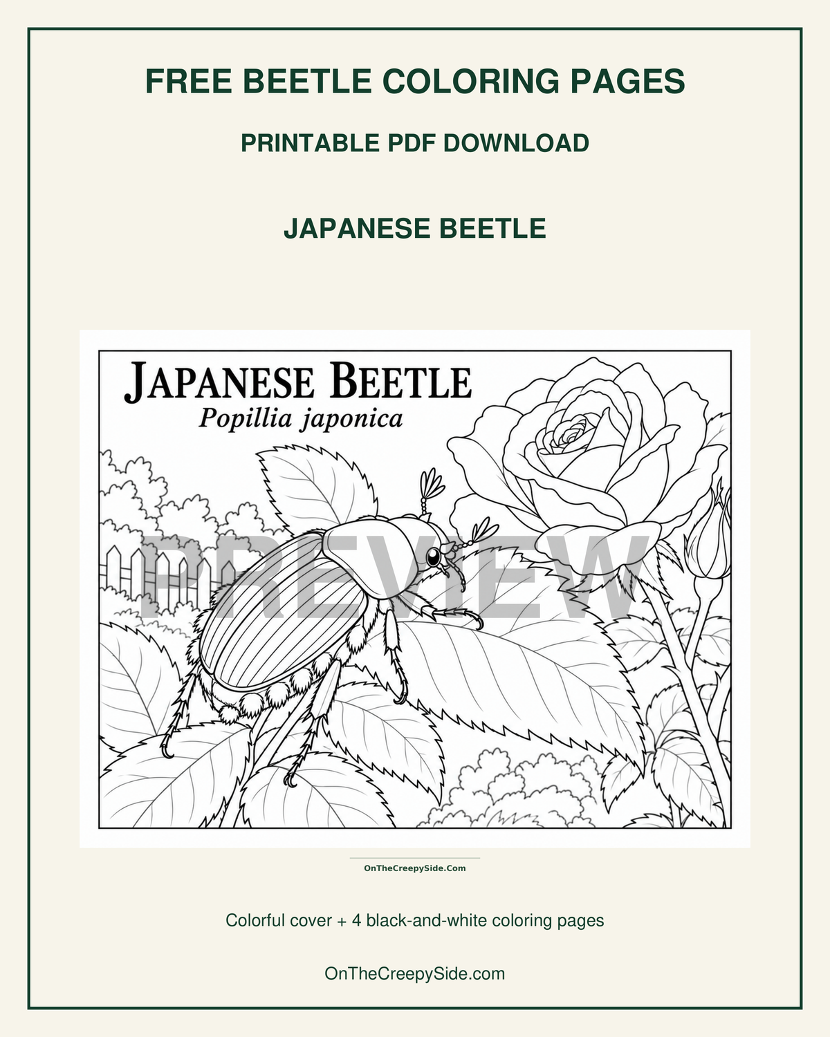 FREE Beetle Coloring Pages | 5-Page Printable PDF Download | Ladybugs, Firefly & Japanese Beetle
