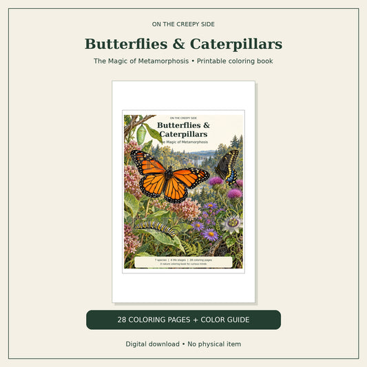 Butterflies & Caterpillars Coloring Book + Color Reference Guide | 28 Metamorphosis Coloring Pages | Printable PDF