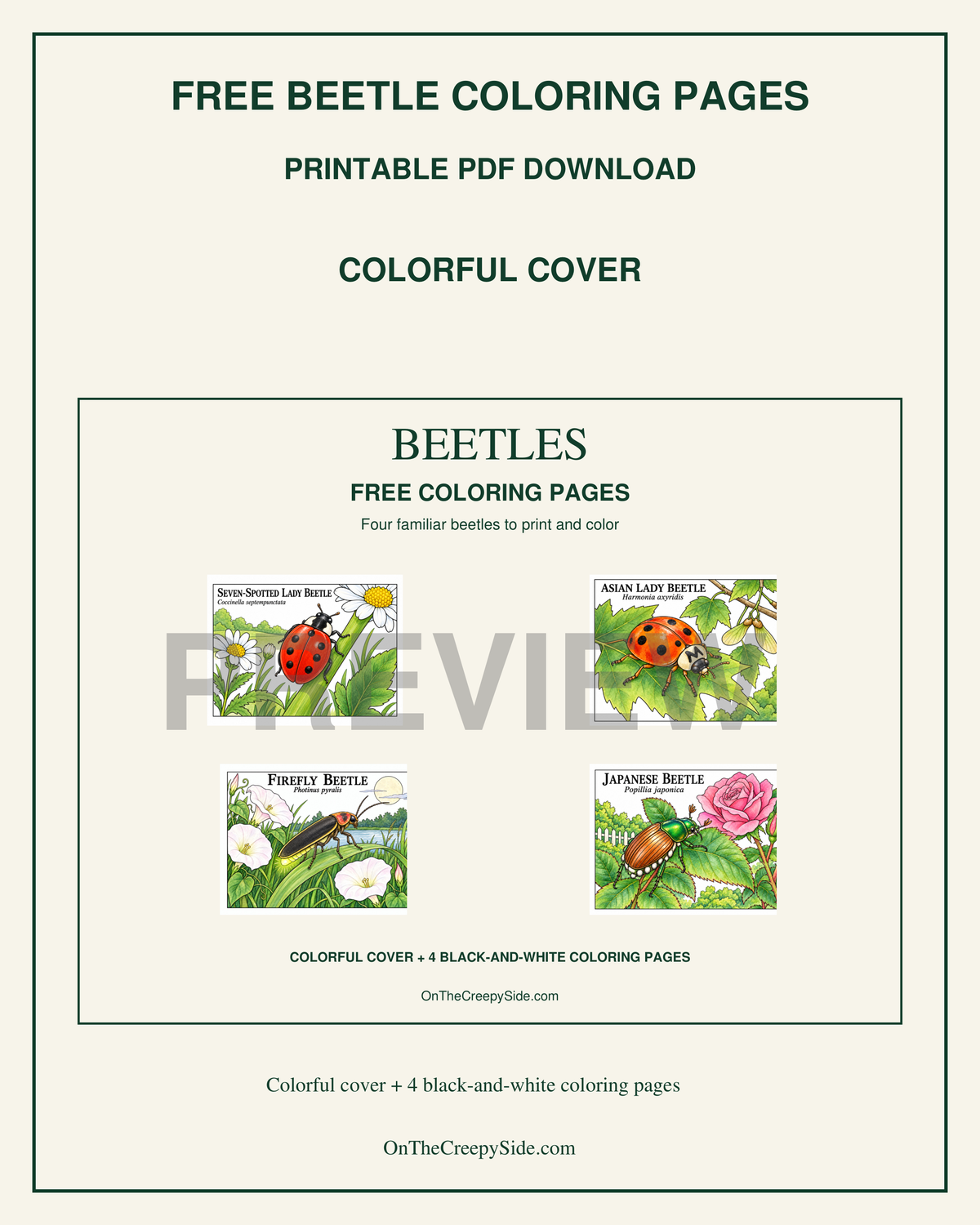 FREE Beetle Coloring Pages | 5-Page Printable PDF Download | Ladybugs, Firefly & Japanese Beetle