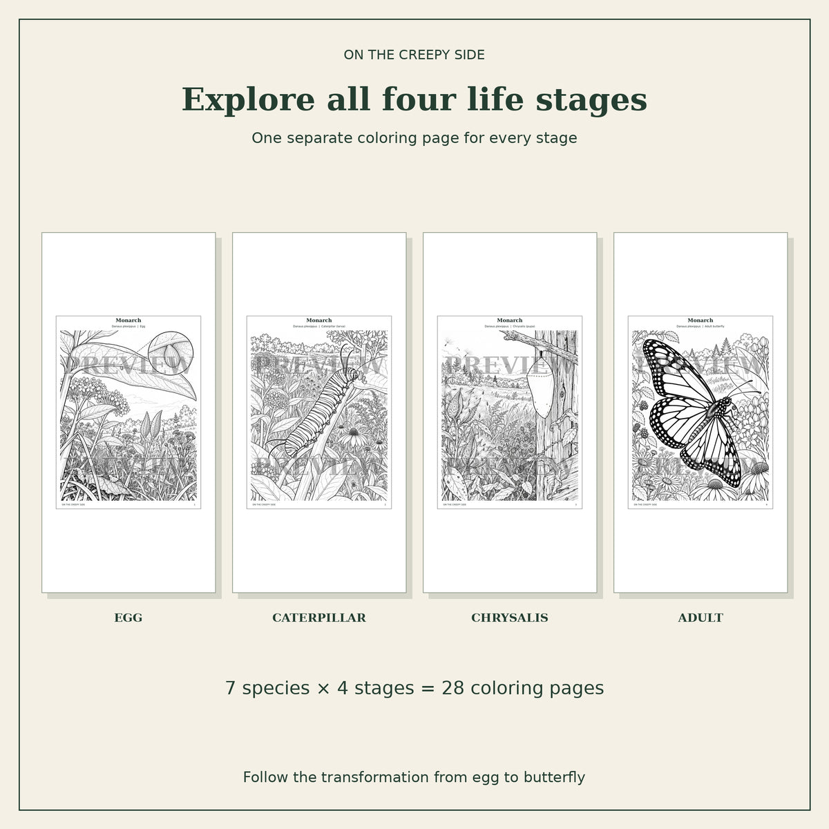 Butterflies & Caterpillars Coloring Book + Color Reference Guide | 28 Metamorphosis Coloring Pages | Printable PDF