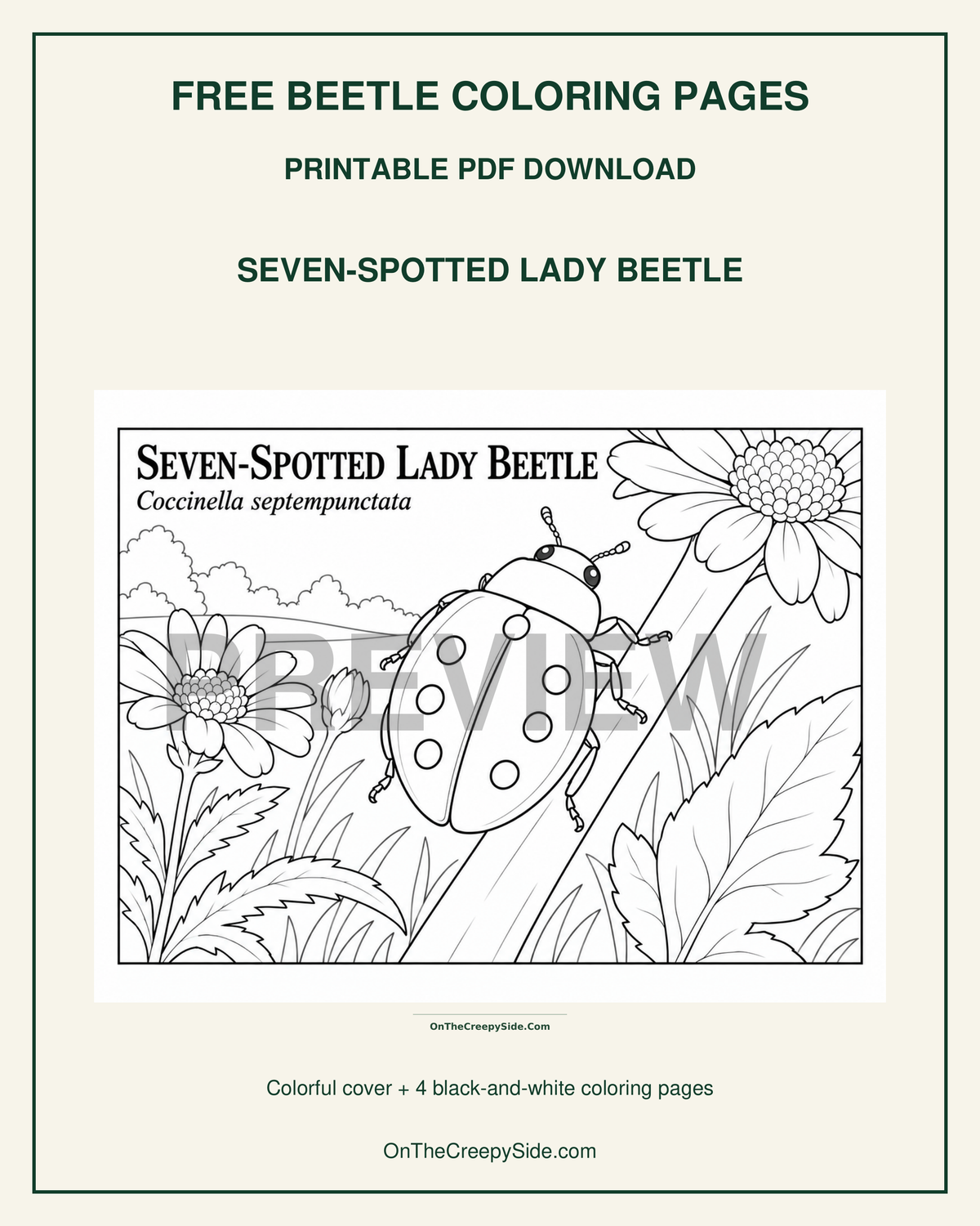 FREE Beetle Coloring Pages | 5-Page Printable PDF Download | Ladybugs, Firefly & Japanese Beetle