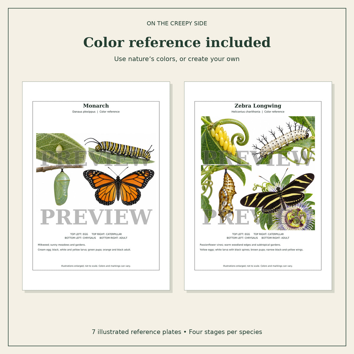 Butterflies & Caterpillars Coloring Book + Color Reference Guide | 28 Metamorphosis Coloring Pages | Printable PDF