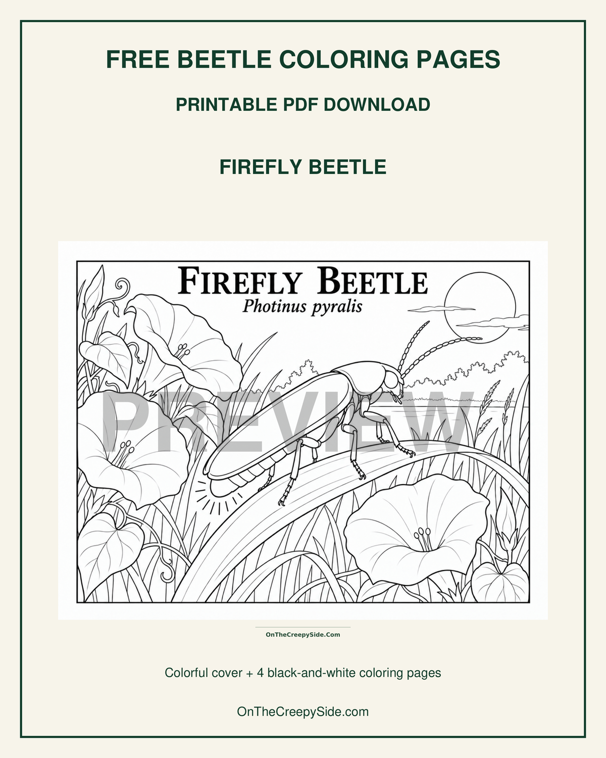FREE Beetle Coloring Pages | 5-Page Printable PDF Download | Ladybugs, Firefly & Japanese Beetle