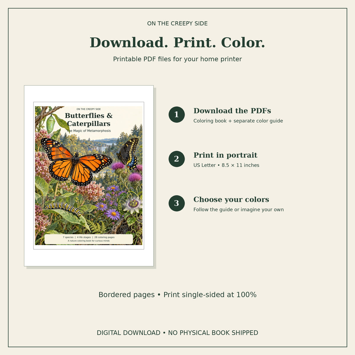 Butterflies & Caterpillars Coloring Book + Color Reference Guide | 28 Metamorphosis Coloring Pages | Printable PDF