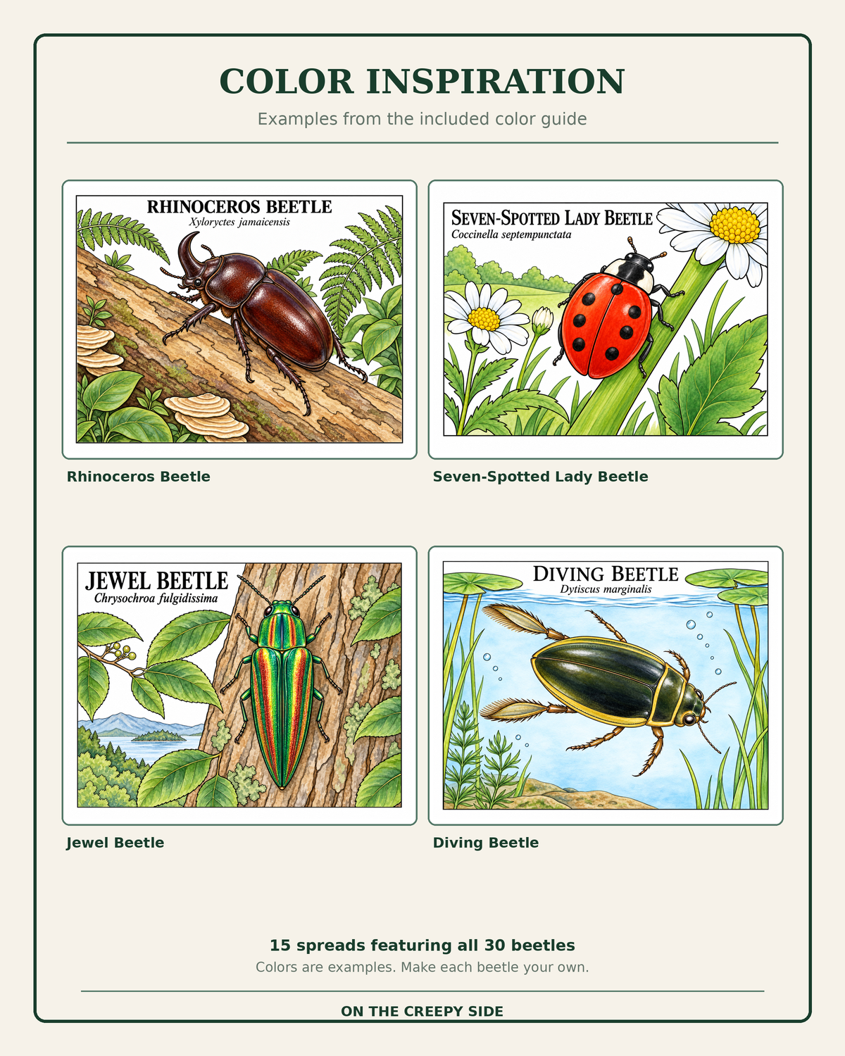 A product mockup showing the front cover of a beetle-themed art print or booklet titled 'COLOR INSPIRATION'. The cover features four illustrated beetle panels: Rhinoceros Beetle, Seven-Spotted Lady Beetle, Jewel Beetle, and Diving Beetle, with text indicating 15 spreads featuring all 30 beetles.