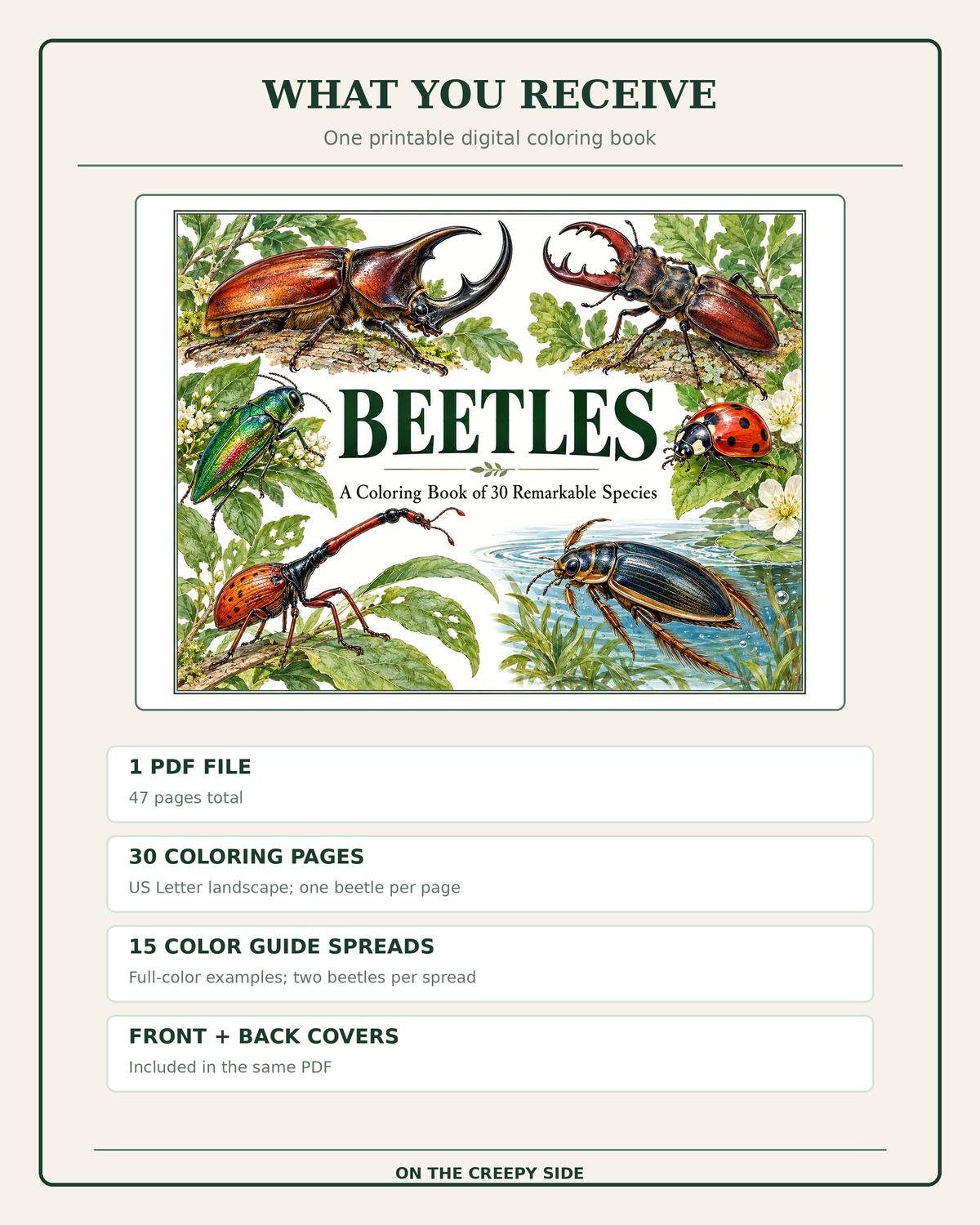 A product listing graphic for a digital coloring book titled 'Beetles' by On the Creepy Side. The graphic features a central cover illustration of various colorful beetles, accompanied by text detailing the package contents: 1 PDF file with 47 pages, 30 coloring pages, 15 color guide spreads, and front and back covers, all presented on a light beige background with a thin green border.