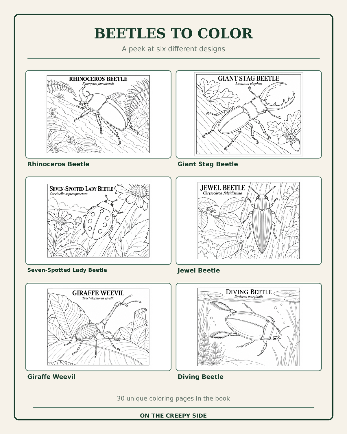 A coloring book cover titled 'BEETLES TO COLOR' showing six black-and-white beetle illustrations arranged in a grid on a cream background.