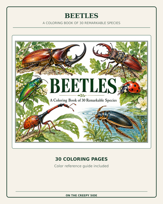 Front cover of the coloring book 'Beetles: A Coloring Book of 30 Remarkable Species' by On the Creepy Side, featuring vintage-style illustrations of various beetles and a ladybug on a cream background.